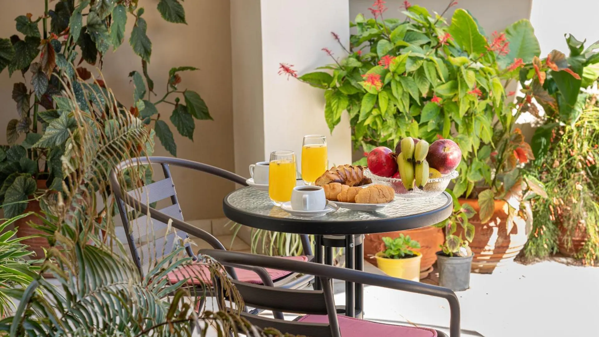 Apartment Penny'S Studios Agia Efimia Greece